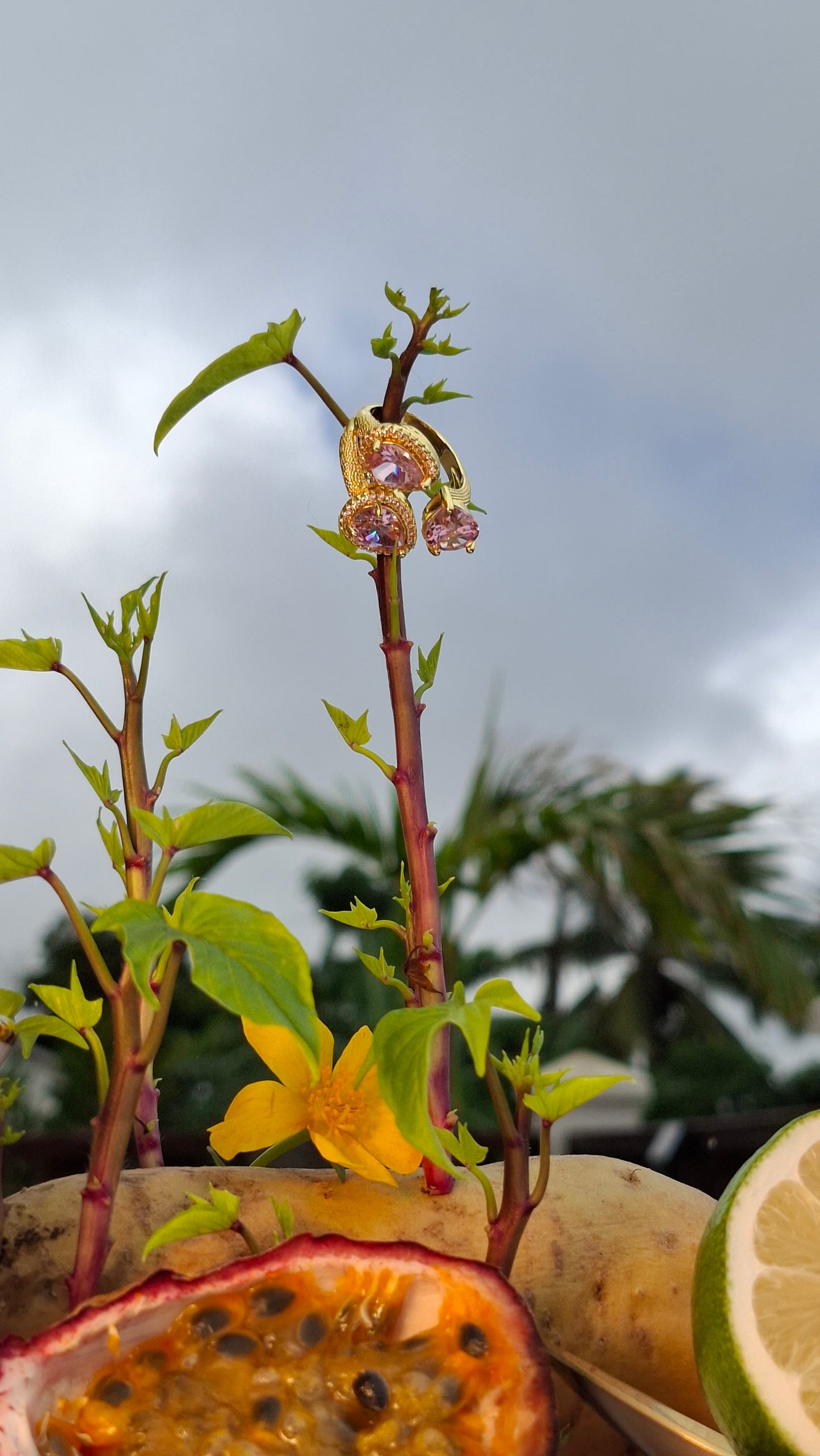 La Bague " MELODIE "