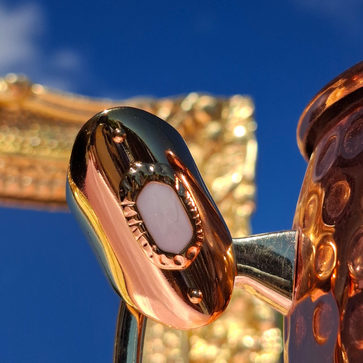 La bague "DOMINA"🔥