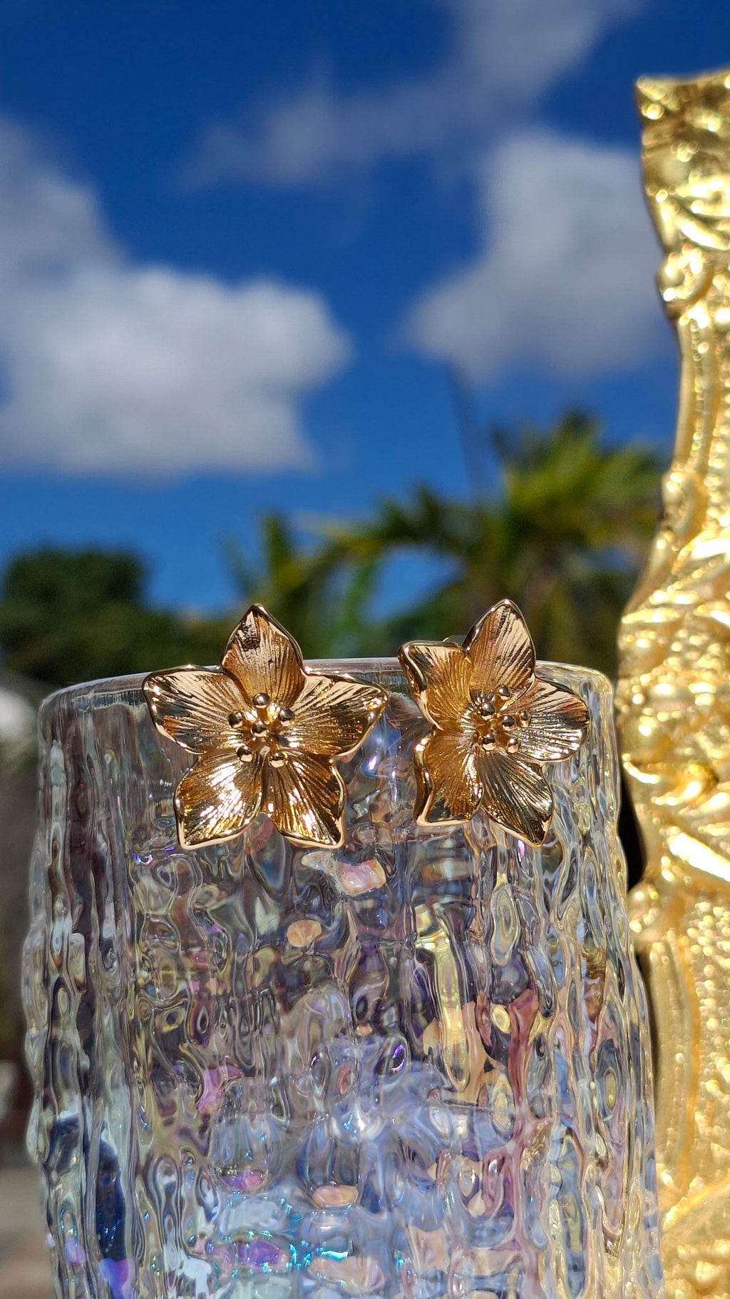 Boucles "MAYA "