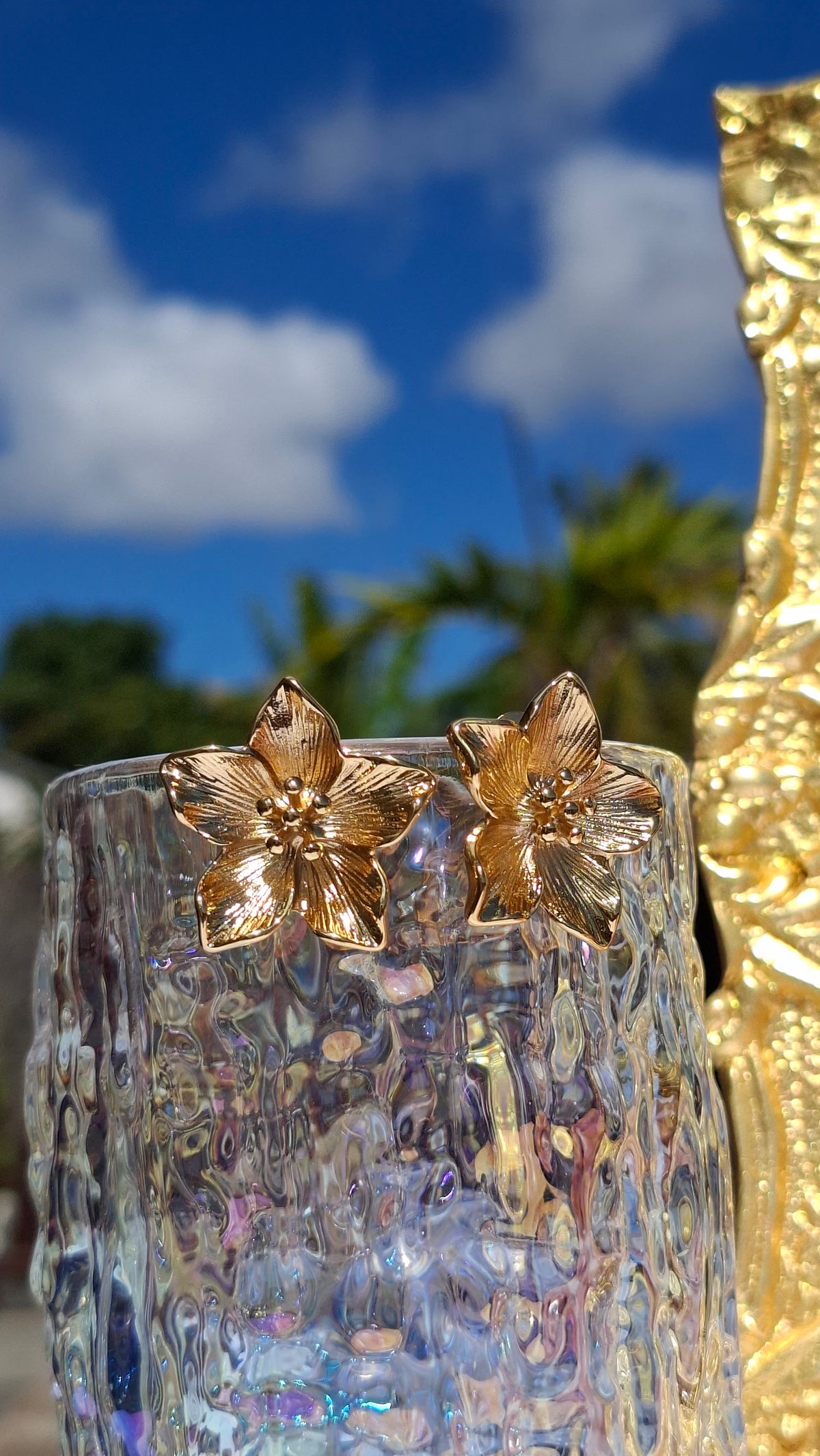 Boucles "MAYA "